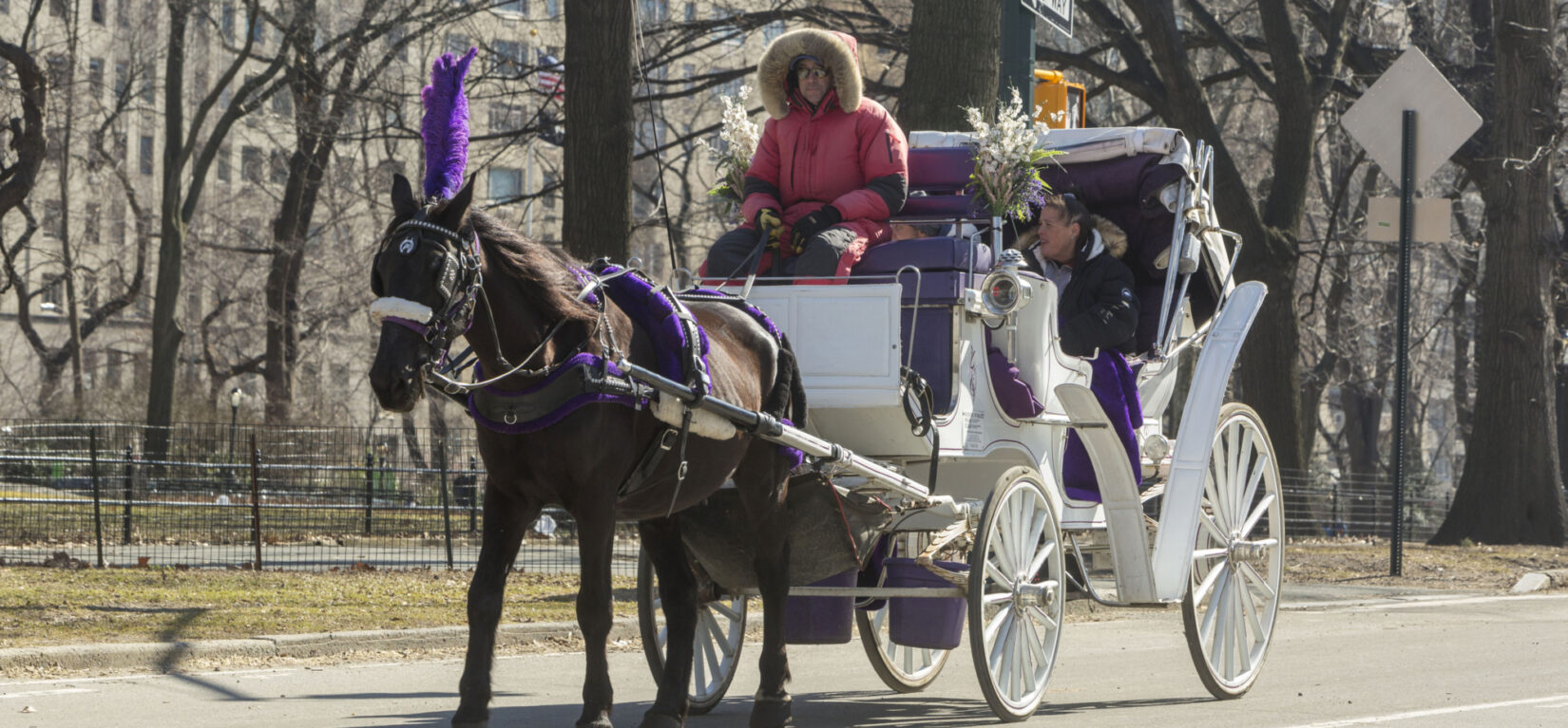 HorseDrawn Carriage Rentals Central Park Conservancy