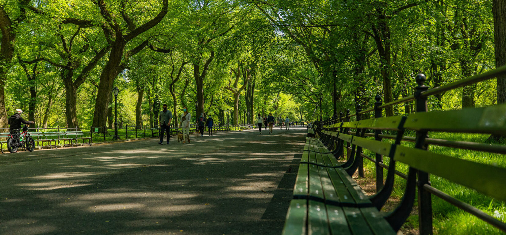 How Public Health Influenced The Creation Central Park Conservancy