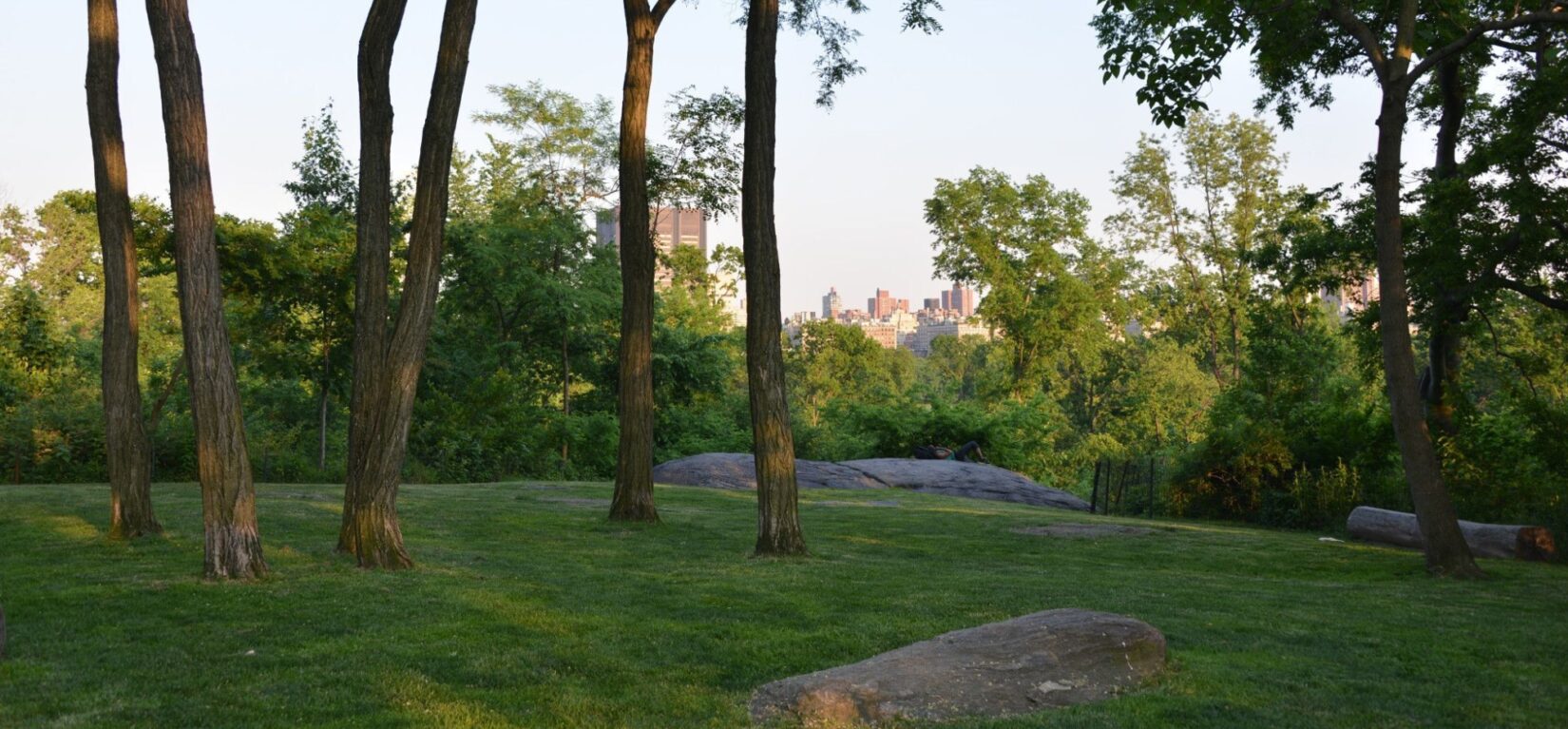 Bare tree trunks and outcroppings of schist highlight the landscape.