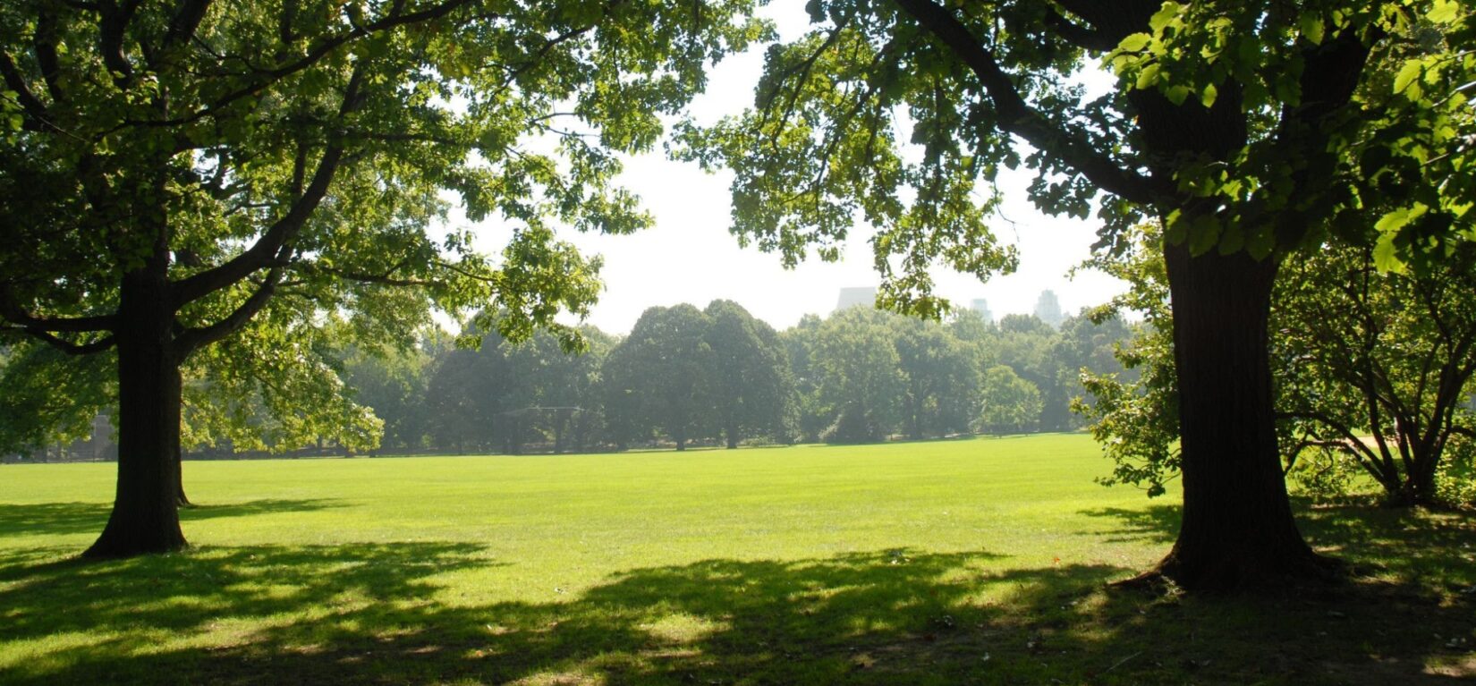A summer haze is visible in the distance across the width of the Lawn.