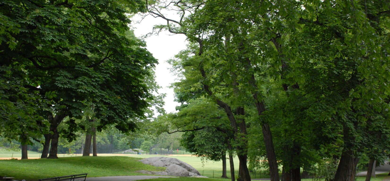 An outcrop of schist is seen alongside a Park path, with stands of trees on either side and the meadow in the background.
