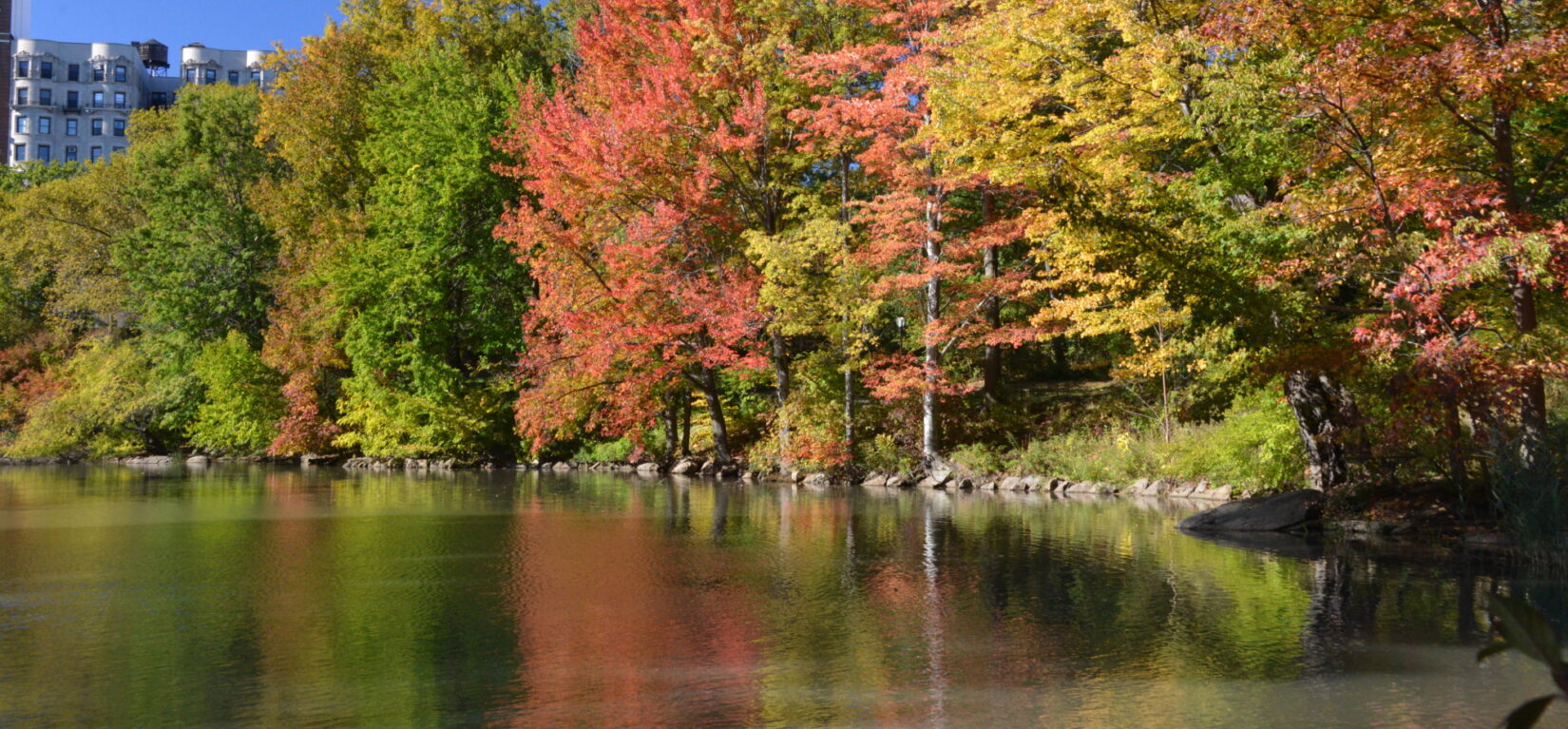 The shore of the Pool lush with autumnal trees reflected in the still water