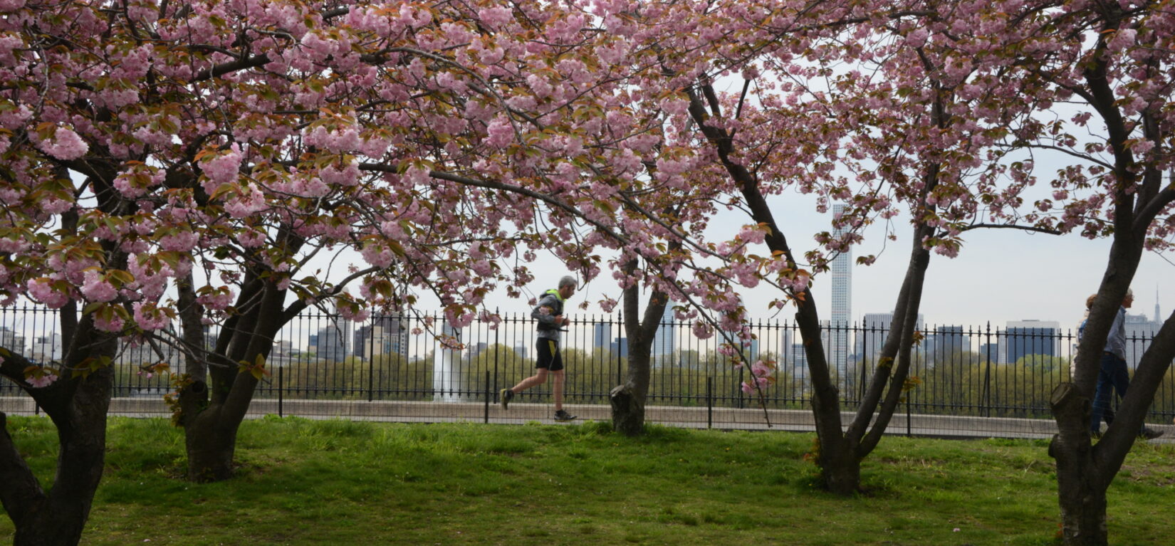 The running track around the reservoir in spring