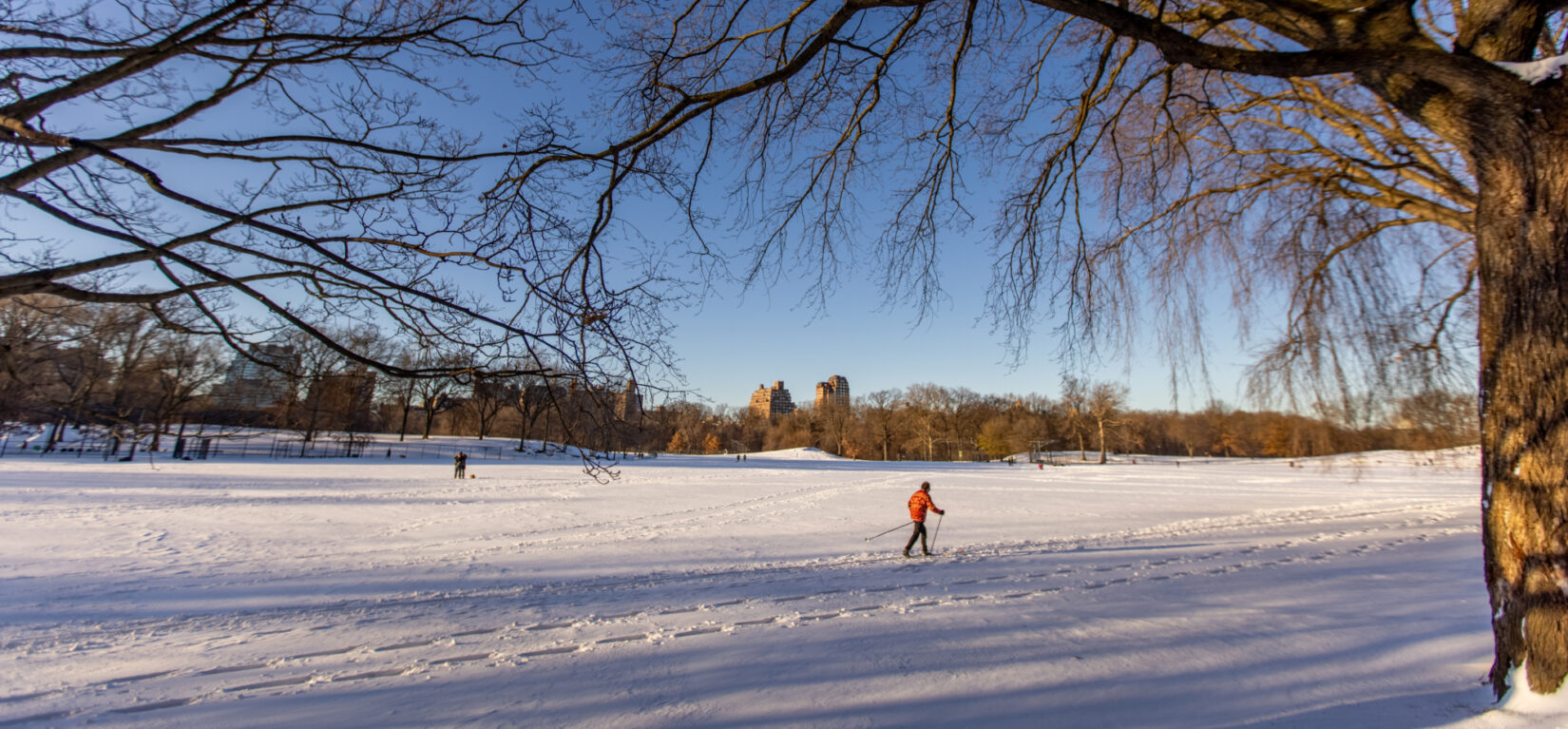 A cross-country skier makes their way across a snowy North Meadow