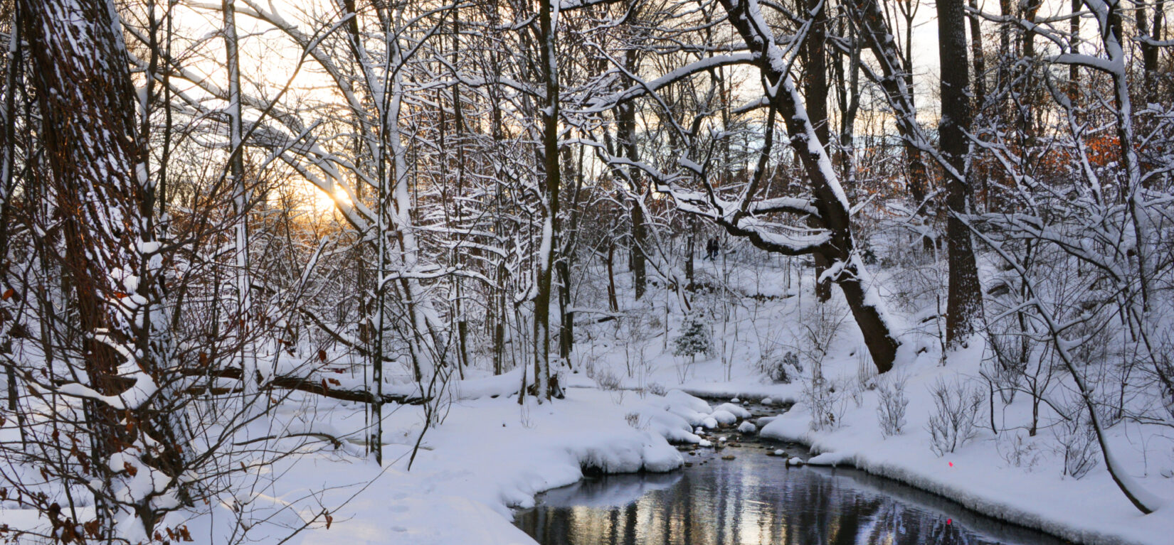 Ravine Winter 8430