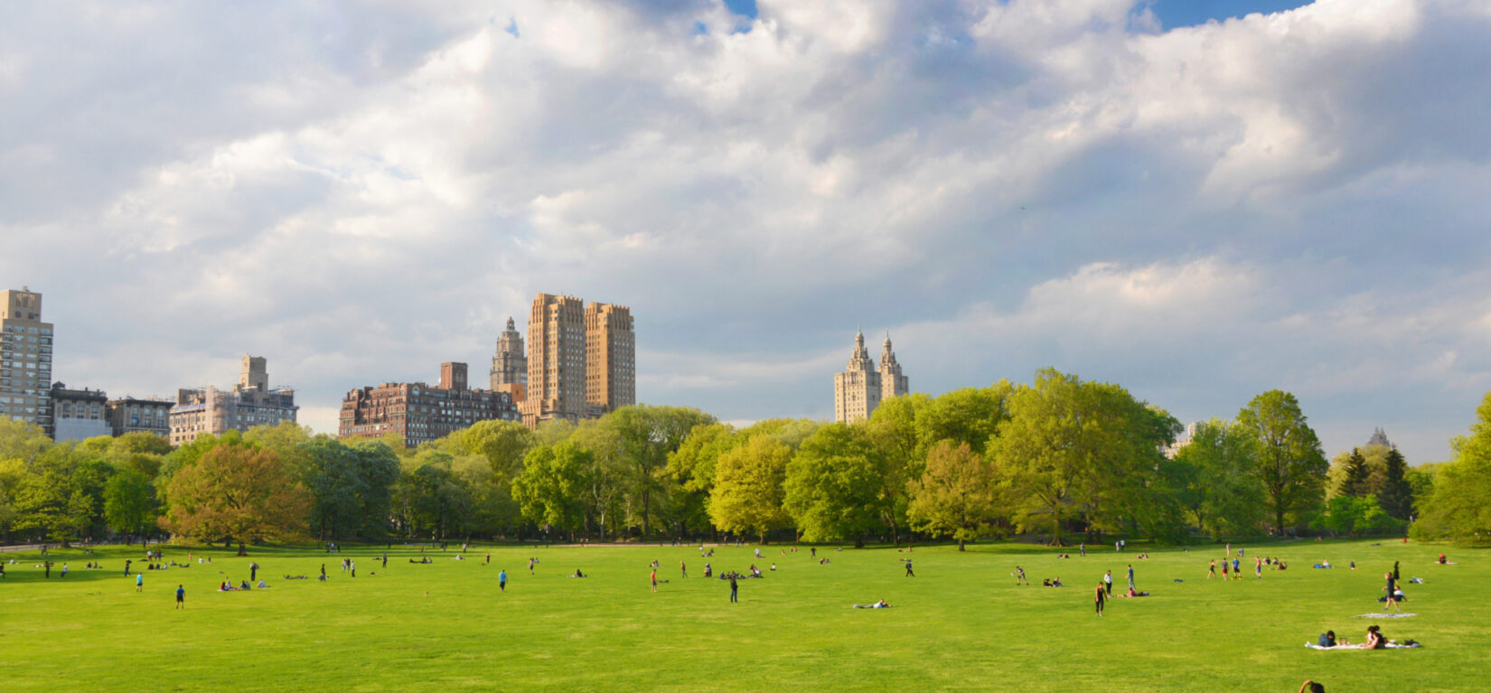 Sheep Meadow 0575