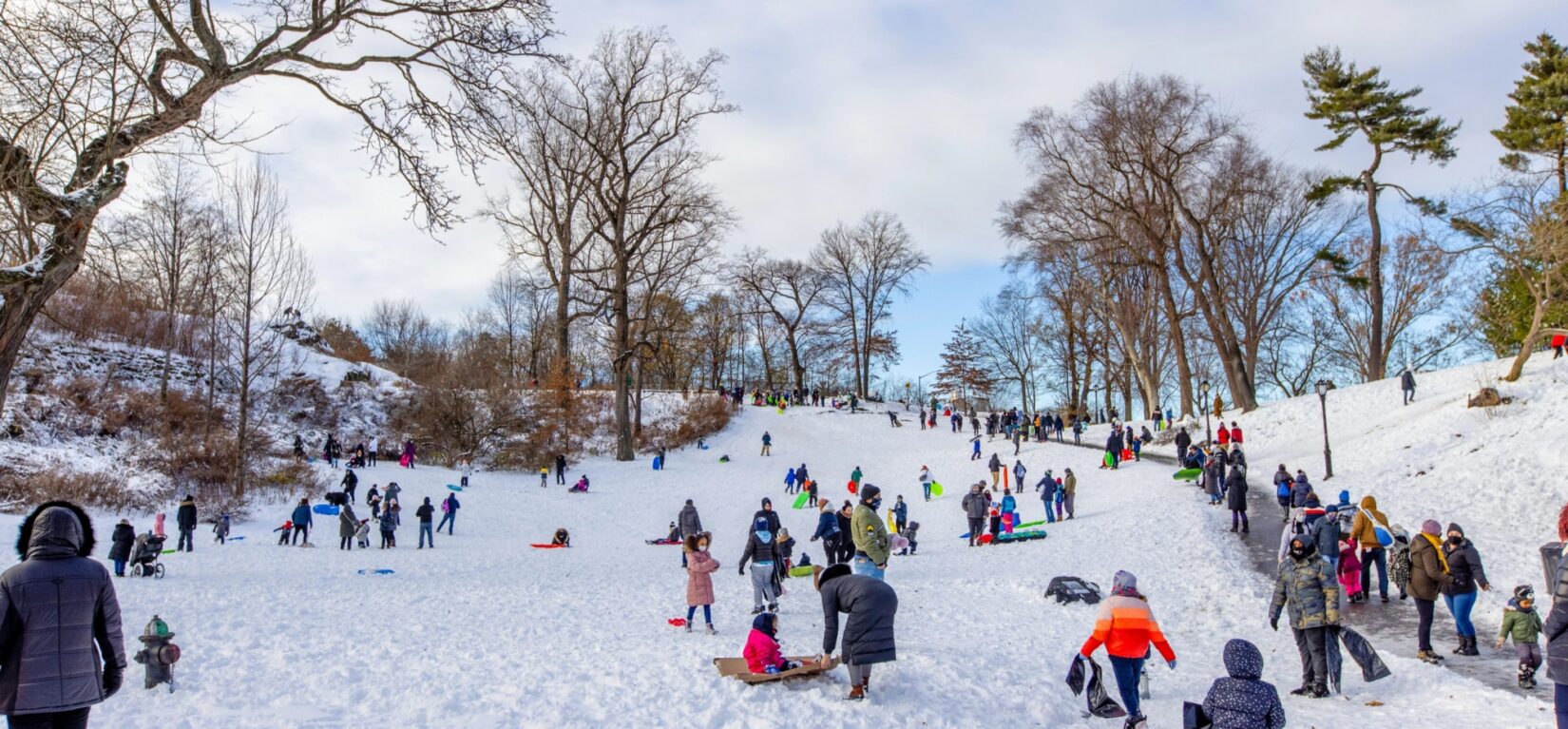 Dozens of children and parents enjoy sledding by the Harlem Meer on a snowy day.