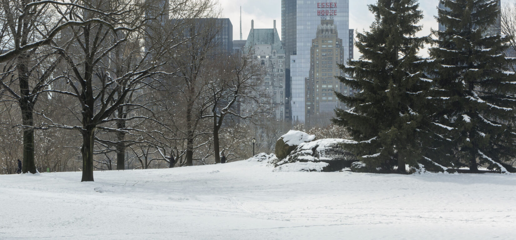 The Park under a blanket of thick snow