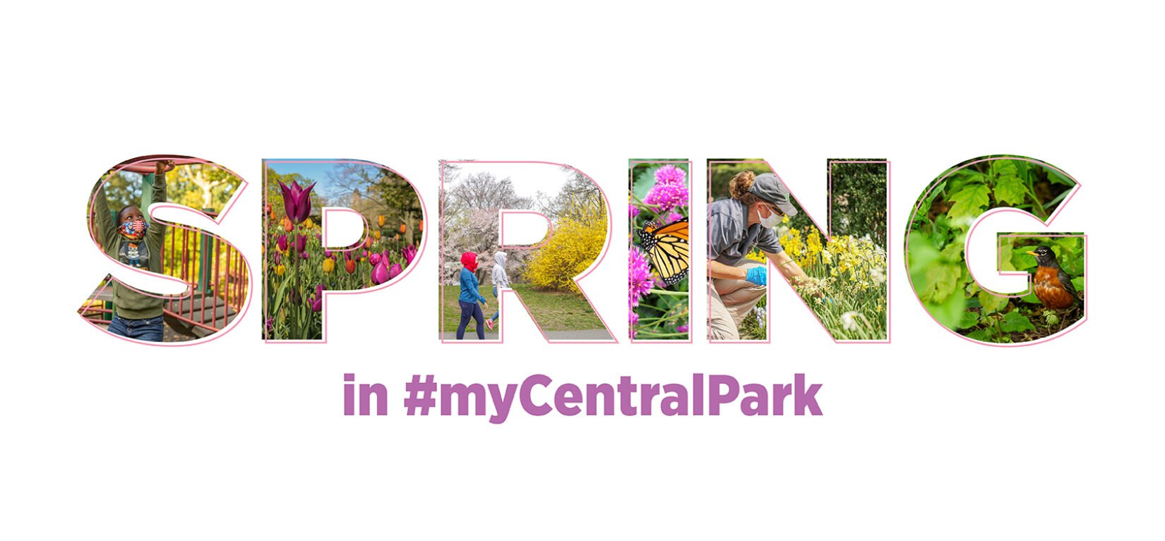 A graphic depiction of the word "spring" with colorful photos of flowers in the colors of the season forming the body of each letter