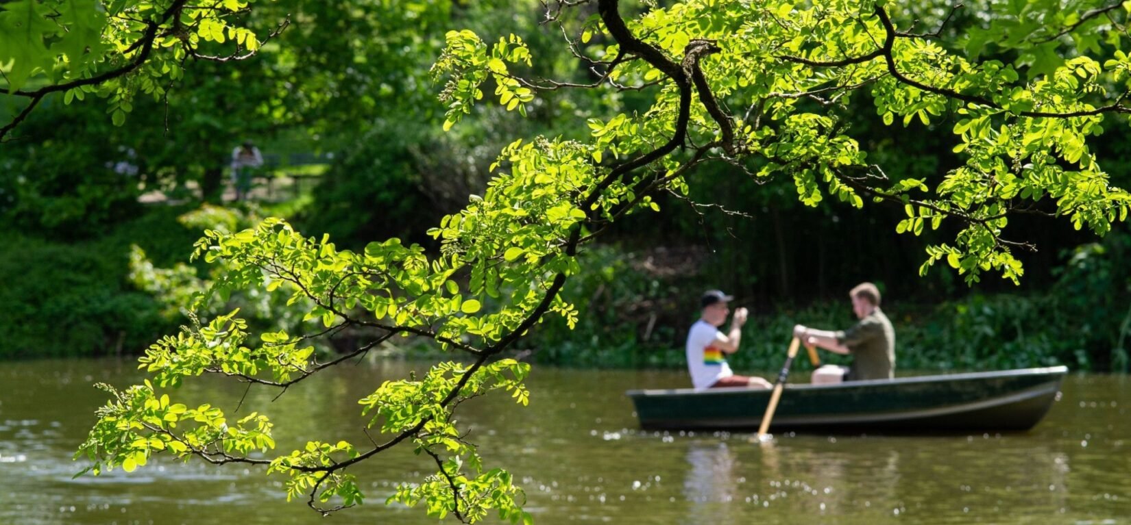 Two men in a rowboat glide under a bough, reflected in the green water of the Lake.