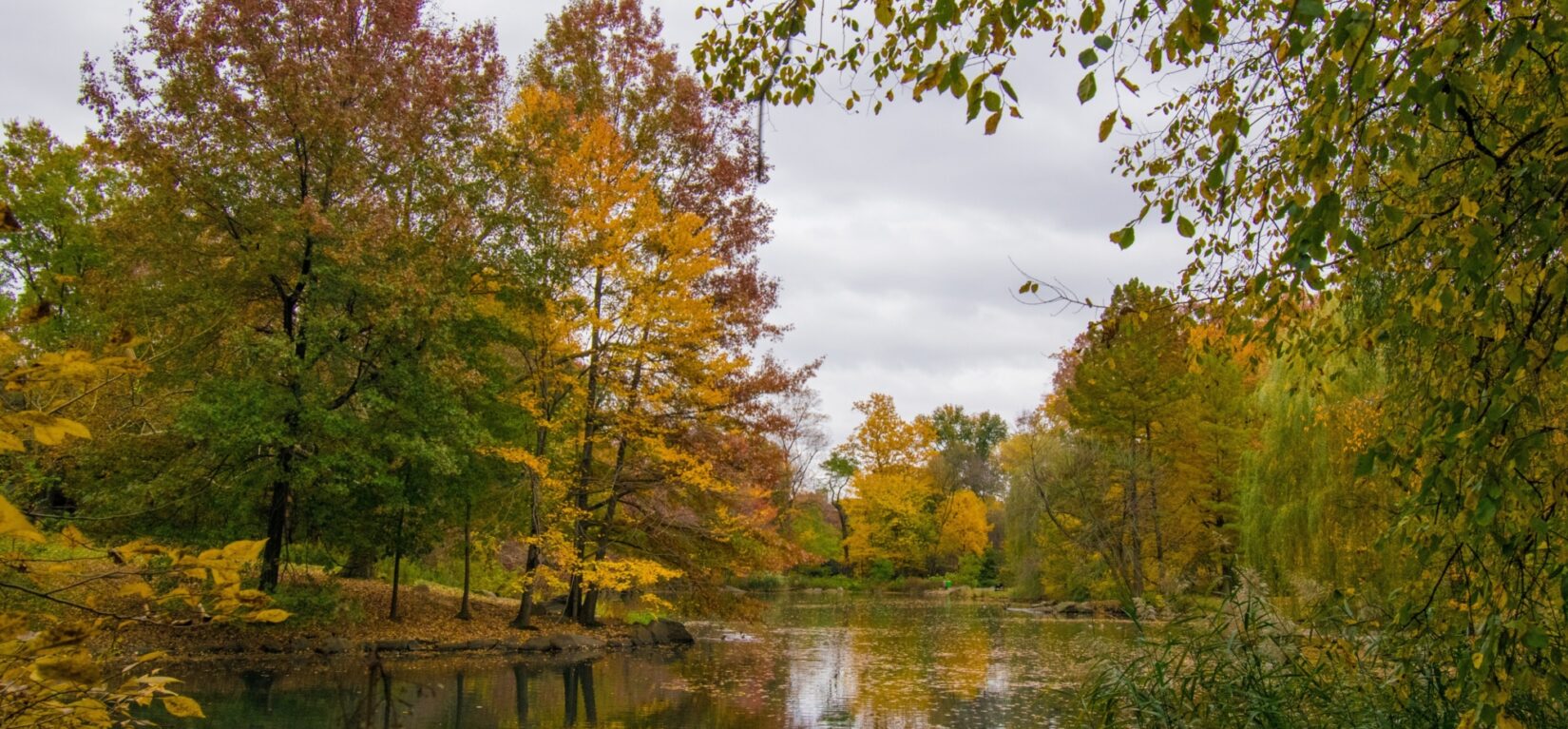 Autumn foliage reflected on the still surface of the Pool