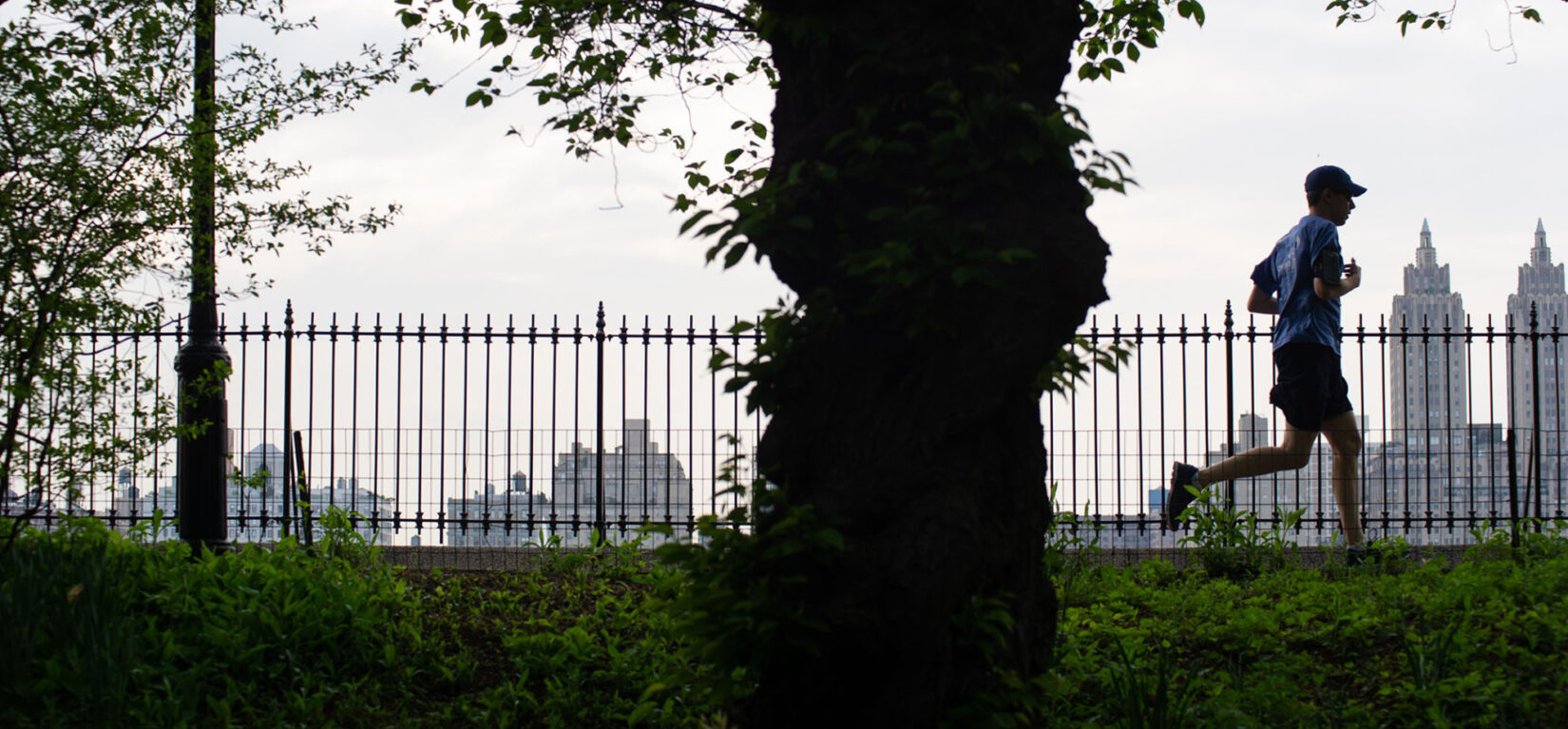 The Runners Guide to Central Park