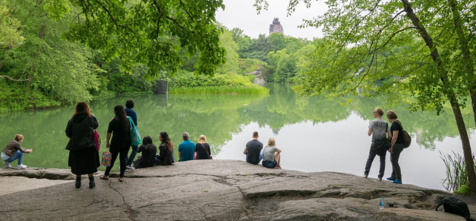 Summer park-goers sit on a wide rock under the shade, taking in the expanse of Turtle Pond.