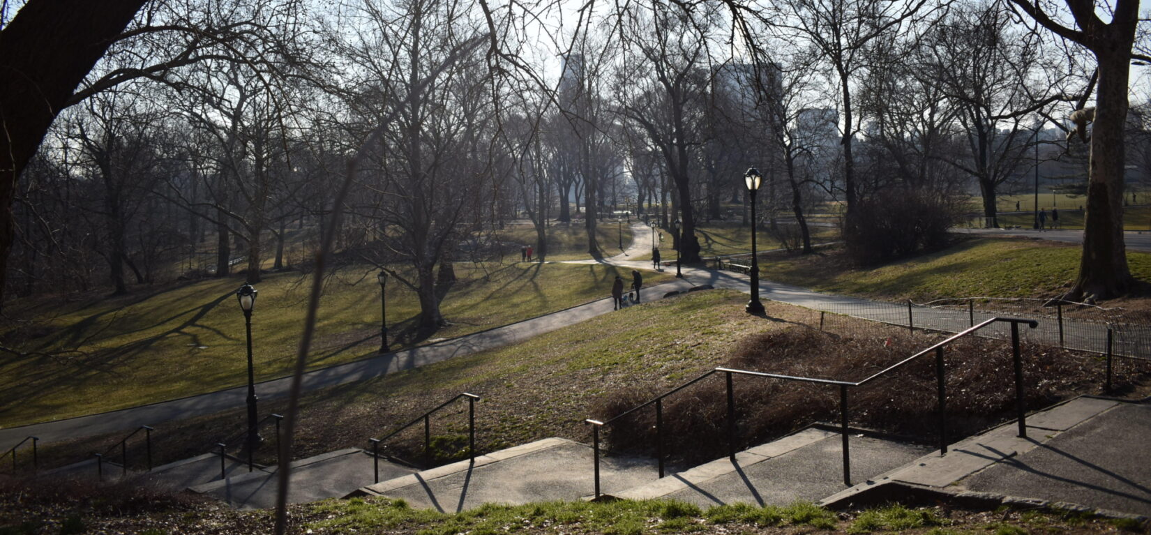 Steps and paths crisscross this leafless, dramatic view of the area near the Pool