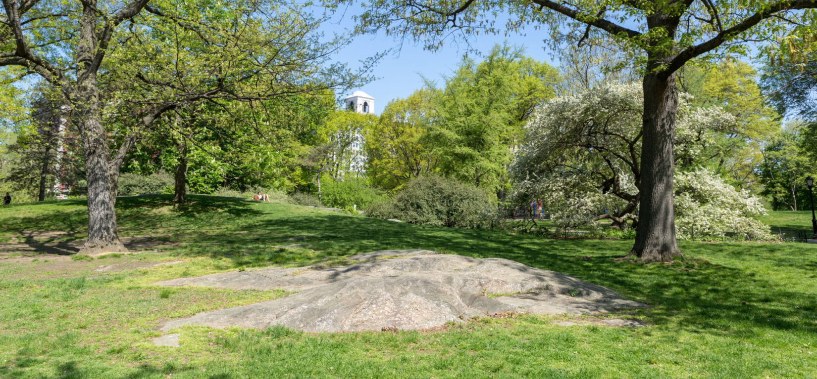 A rock outcropping at the Seneca Village site surrounded by trees in springtime