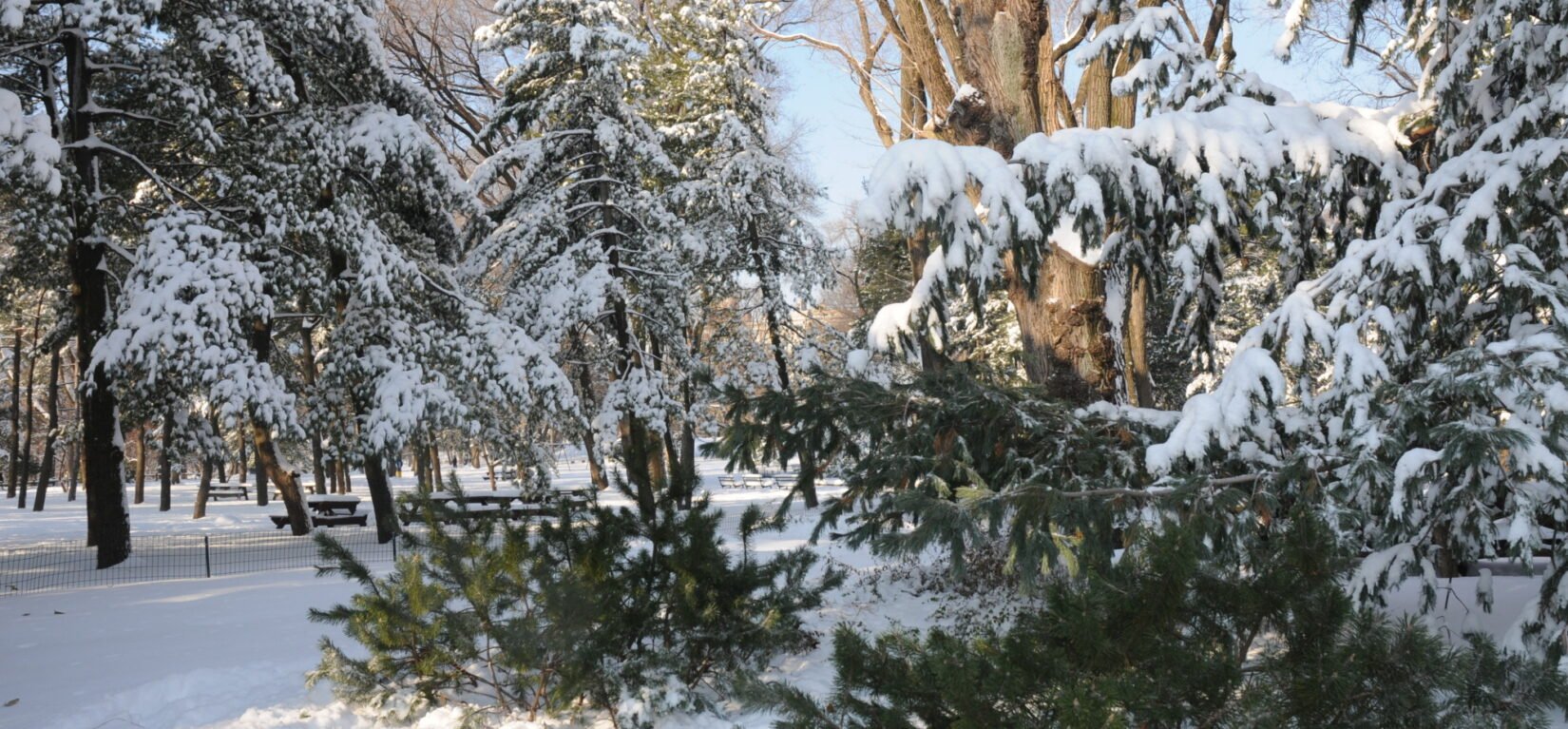 A heavy snow blankets this view of the west side of the Park