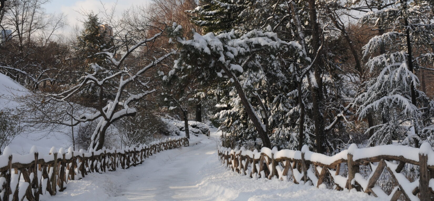 A recent snowfall turns this path, with rusitc fencing, into a classic winter scene