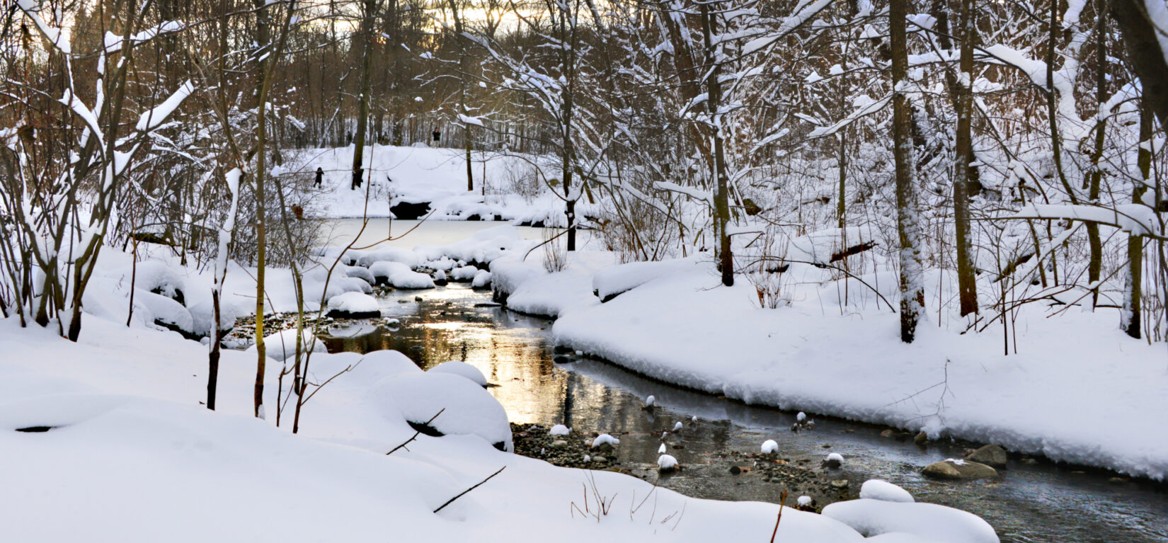 A stream winds through the snow-covered North Woods