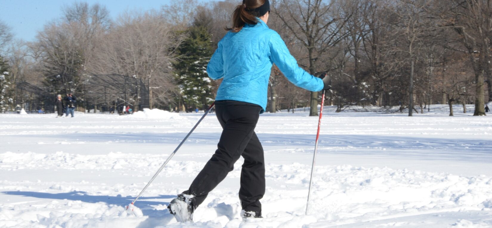 A cross-country skier crosses the Park, deep in show