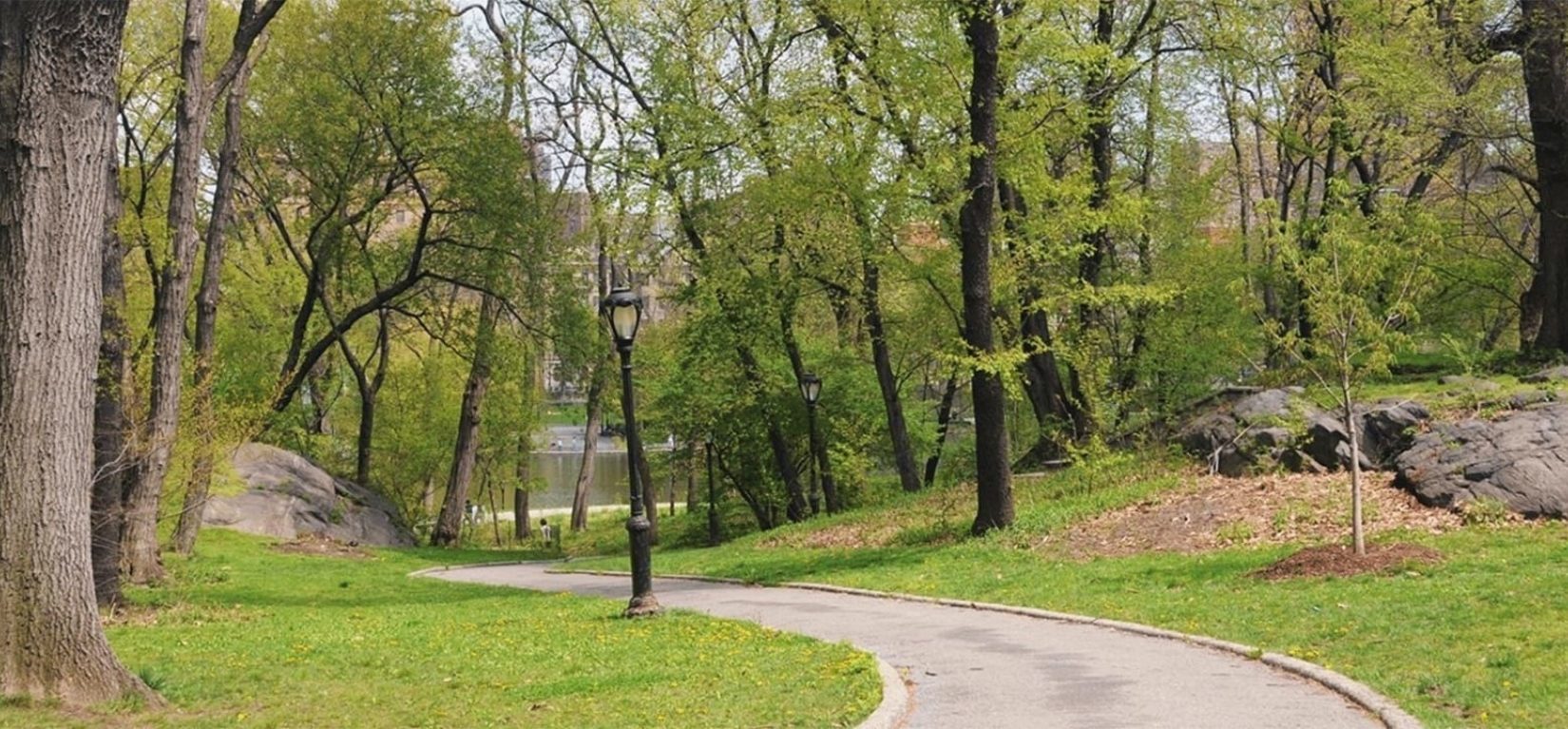 Mcgowan S Pass Central Park Conservancy