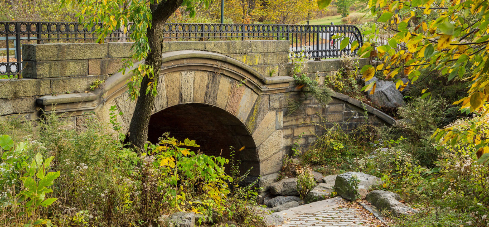 Ff wide springbanks arch