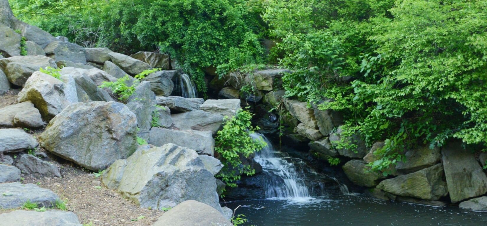 North woods