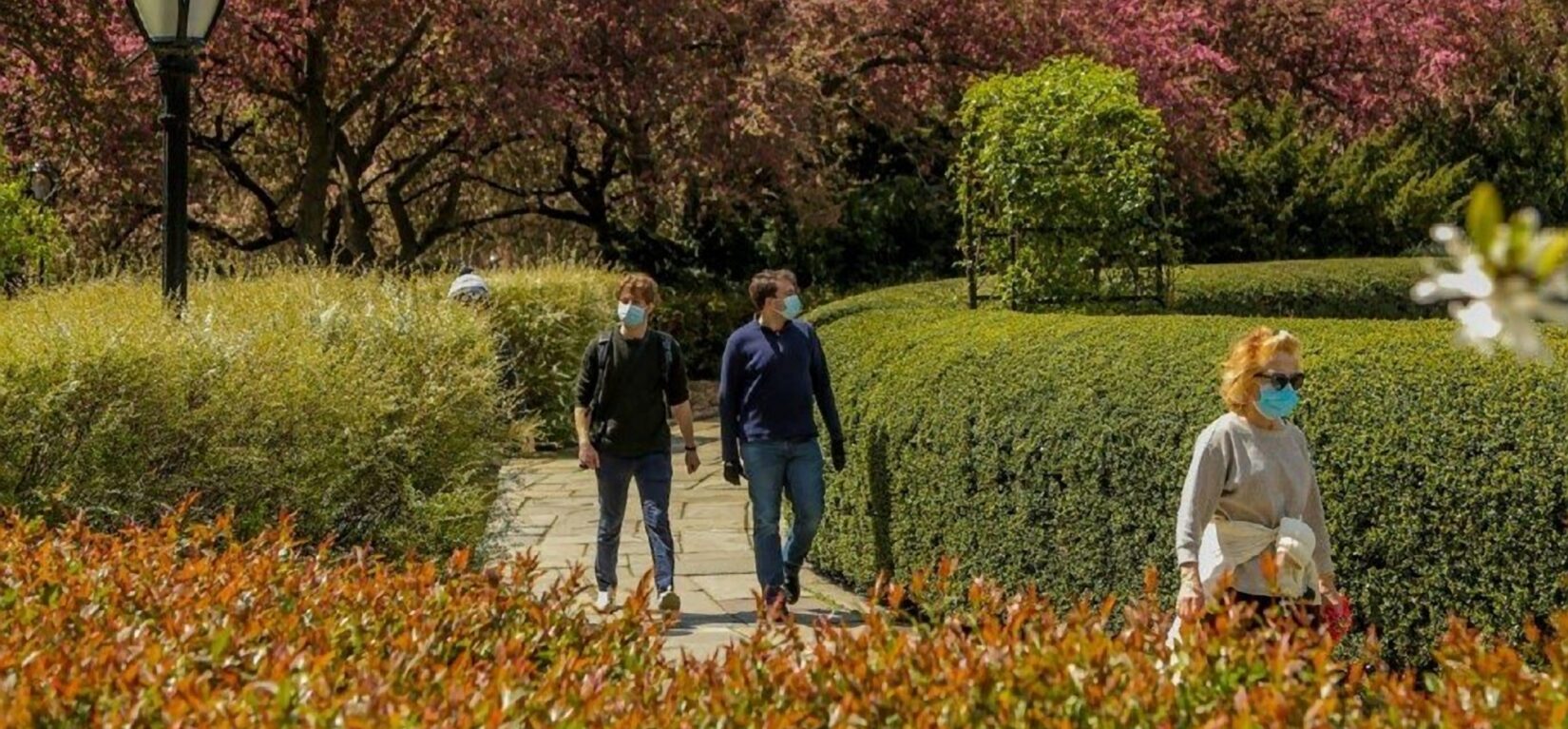 Socially-distanced strolling through a garden