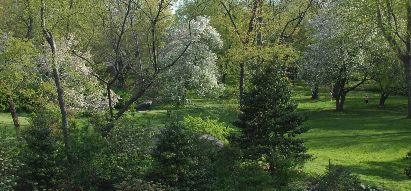 Seneca village