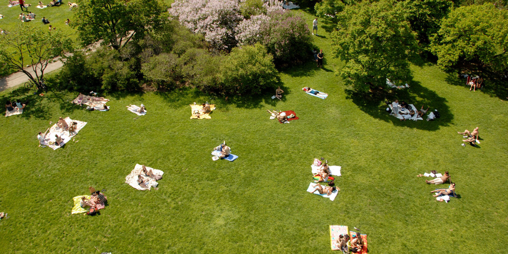 Passive Lawn