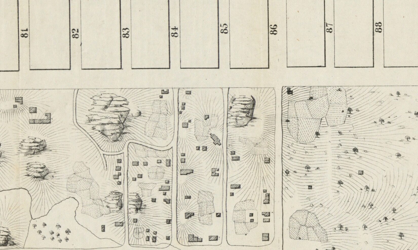 1856 Viele Large 1