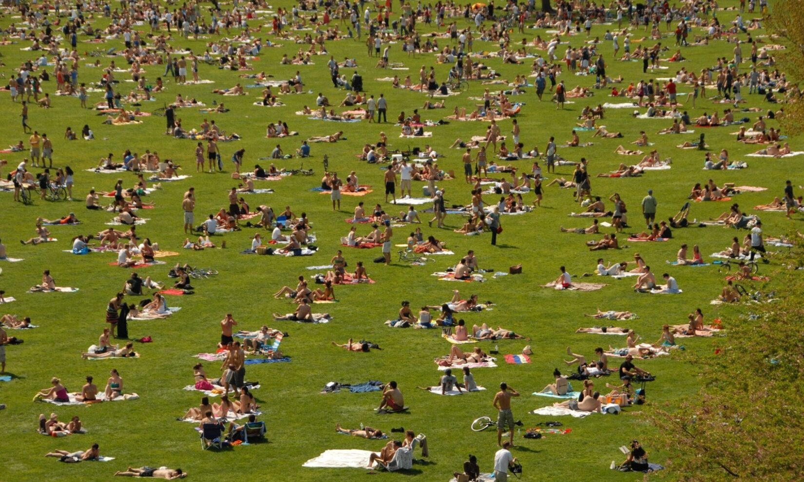 The Sheep Meadow is crowded with sunbathers