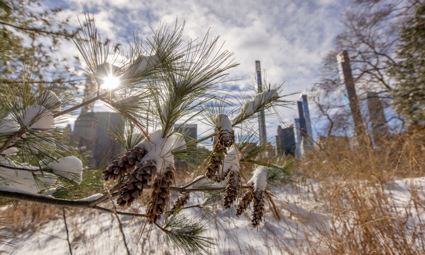 Dene Slope 20201217 3085