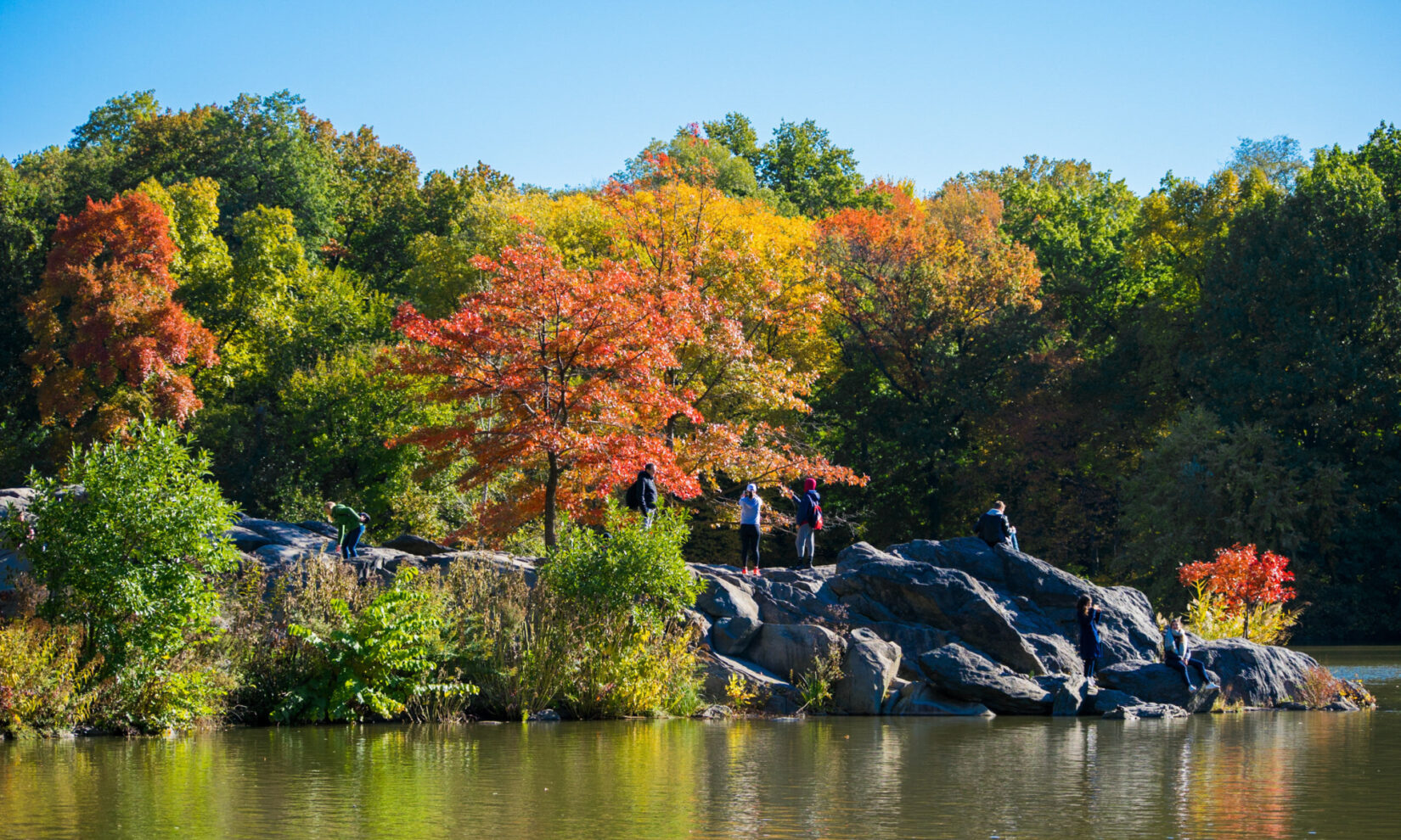 A fall view of Hernshead, overlooking the Lake, with Park visitors enjoying the bright foliage.