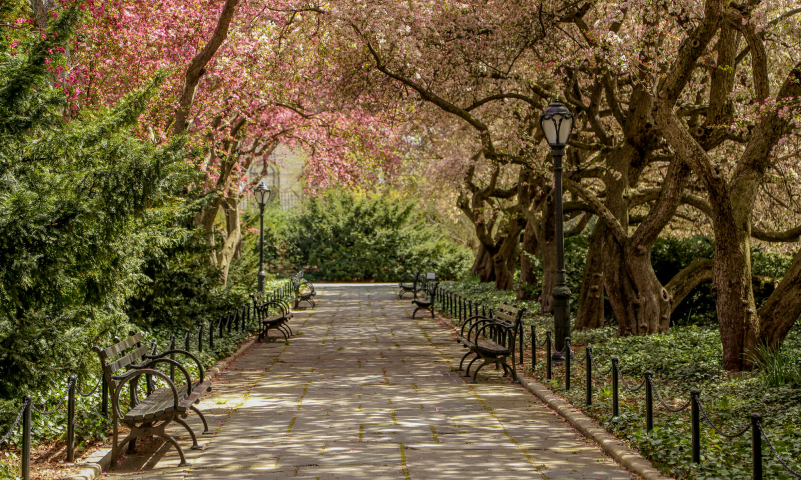 A shaded allee at Conservatory Garden