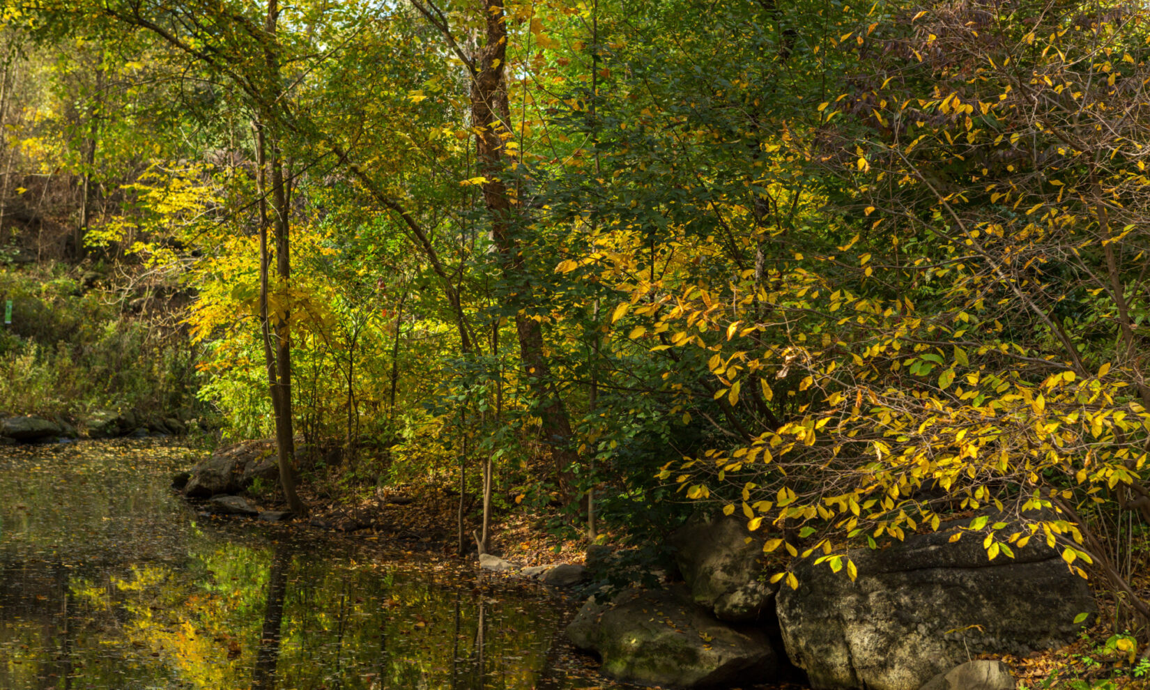 A stream reflecting autumn leaves in the North Woods