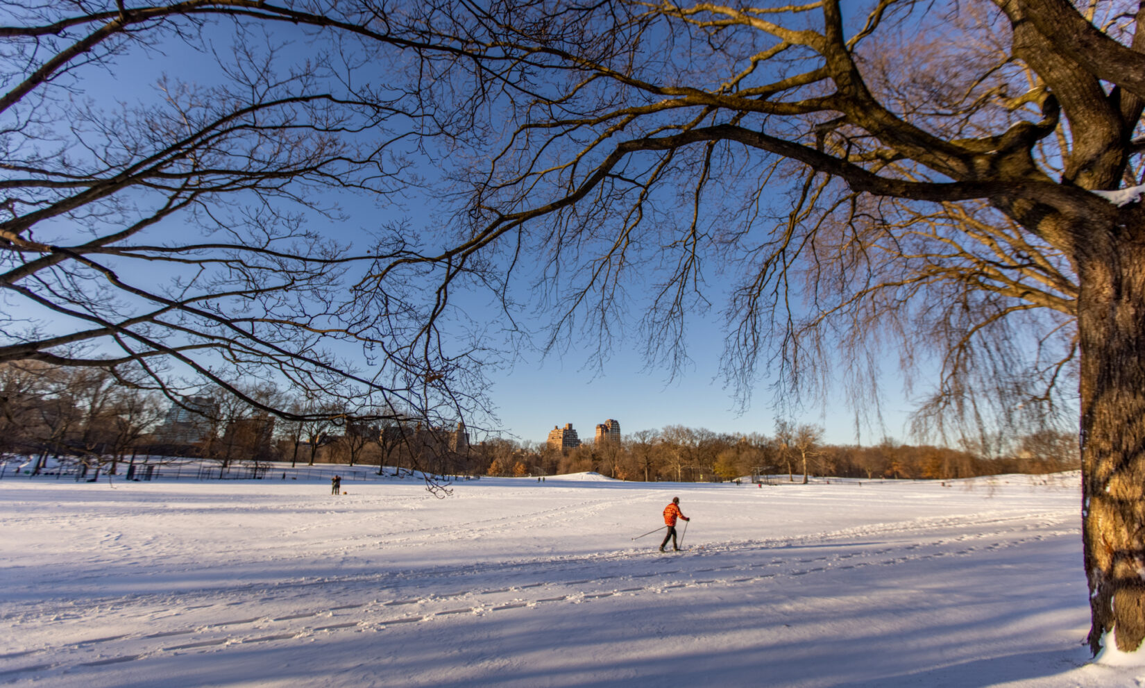 A cross-country skier treks across North Meadow under a crisp winter blue sky