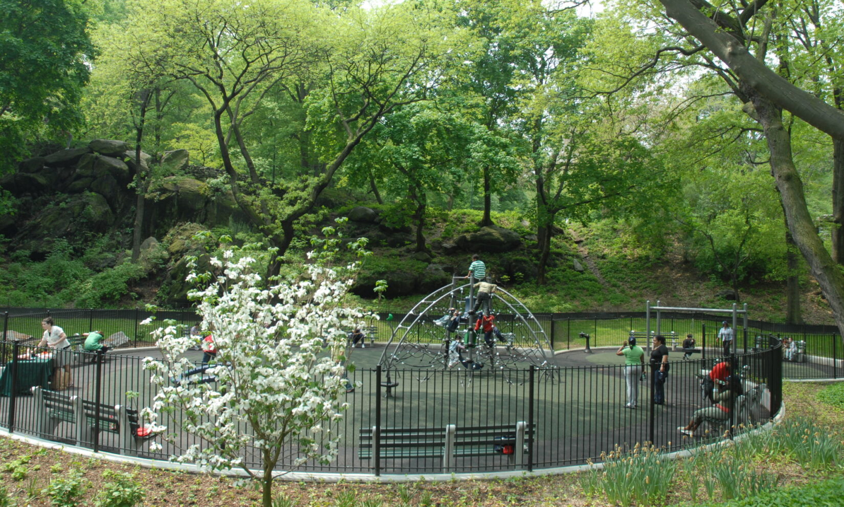 Children playing on the climbing equipment surrounded by trees sporting spring leaves.