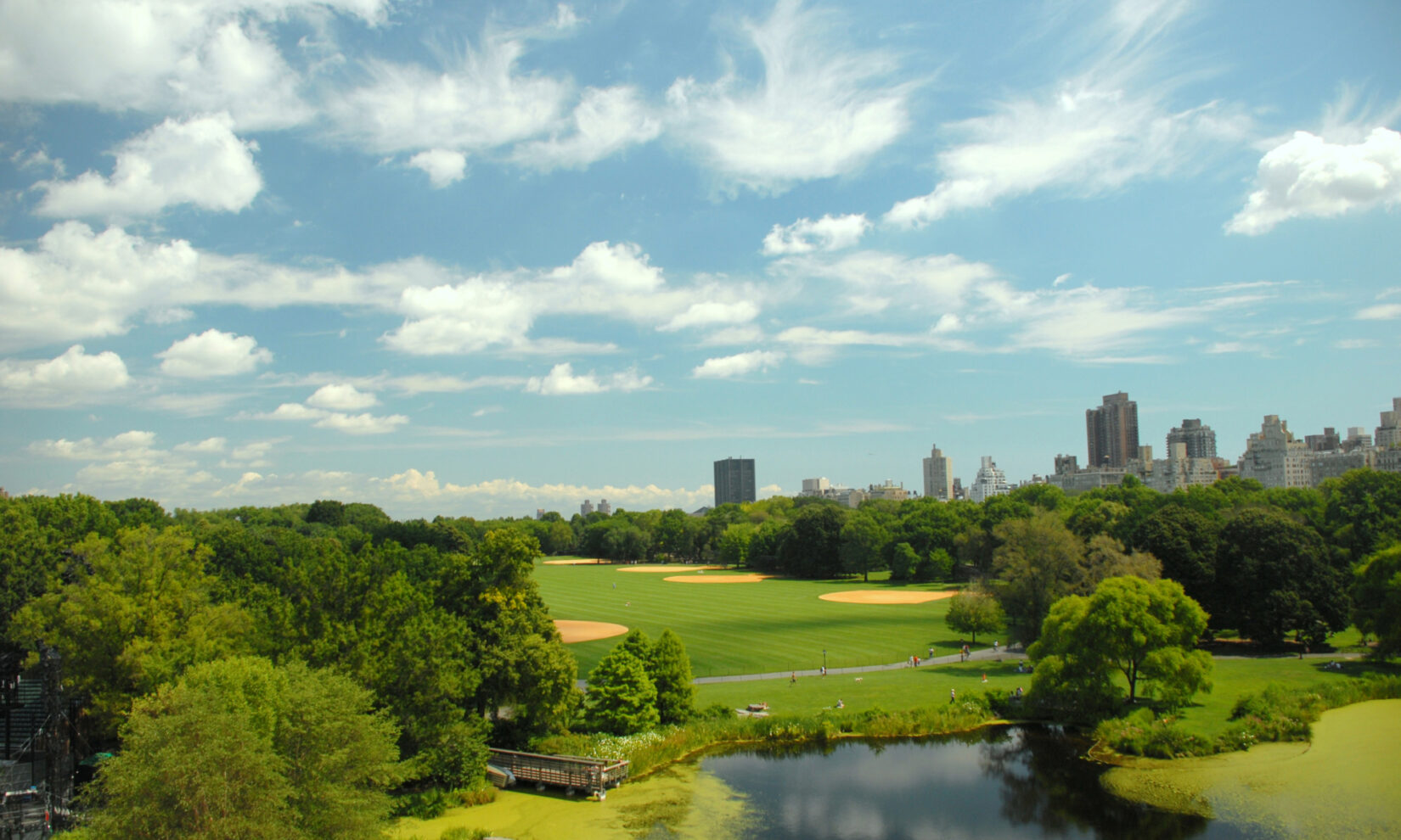 Summer Great Lawn Central Park credit the Central Park Conservancy