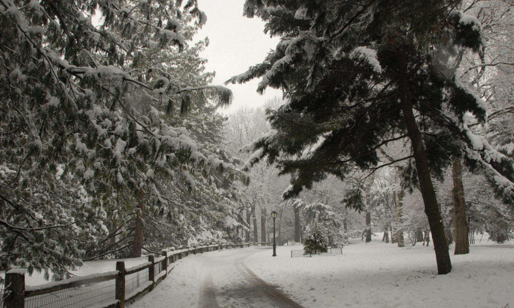 A snowy path winds through the Pinetum, flanked by a rustic fence