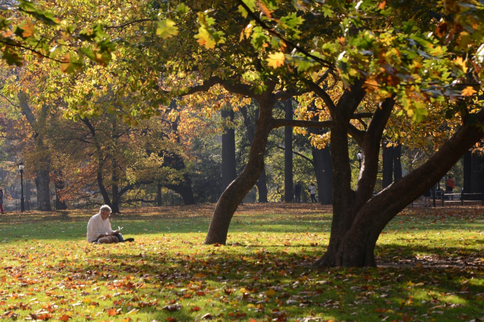 Photo of person reading on the East Green