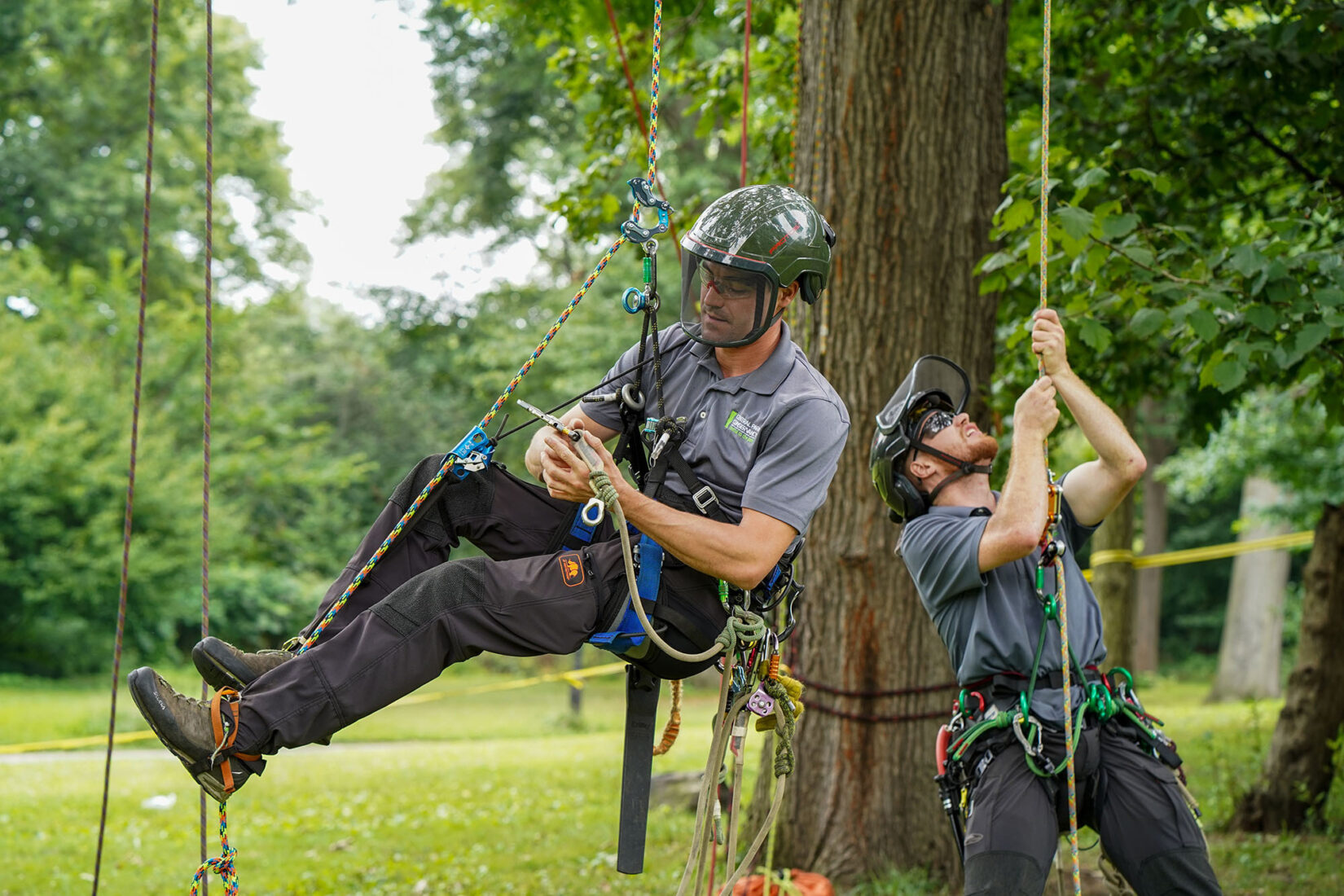Tree Climbing Preparation