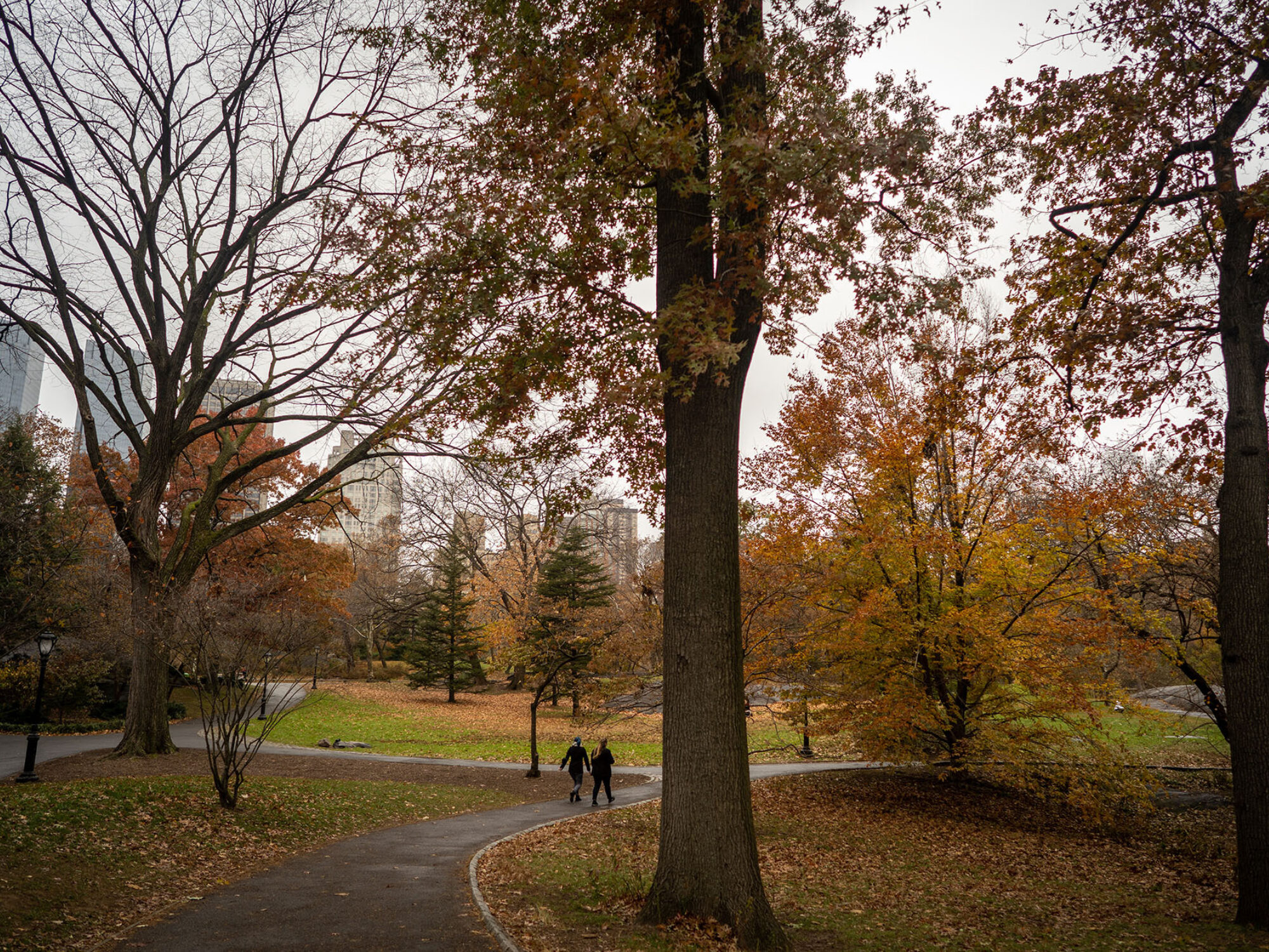 The Ramble Central Park Conservancy