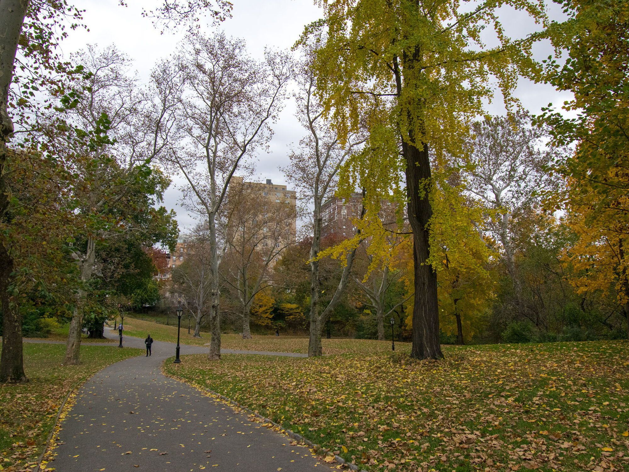 Park History | Central Park Conservancy