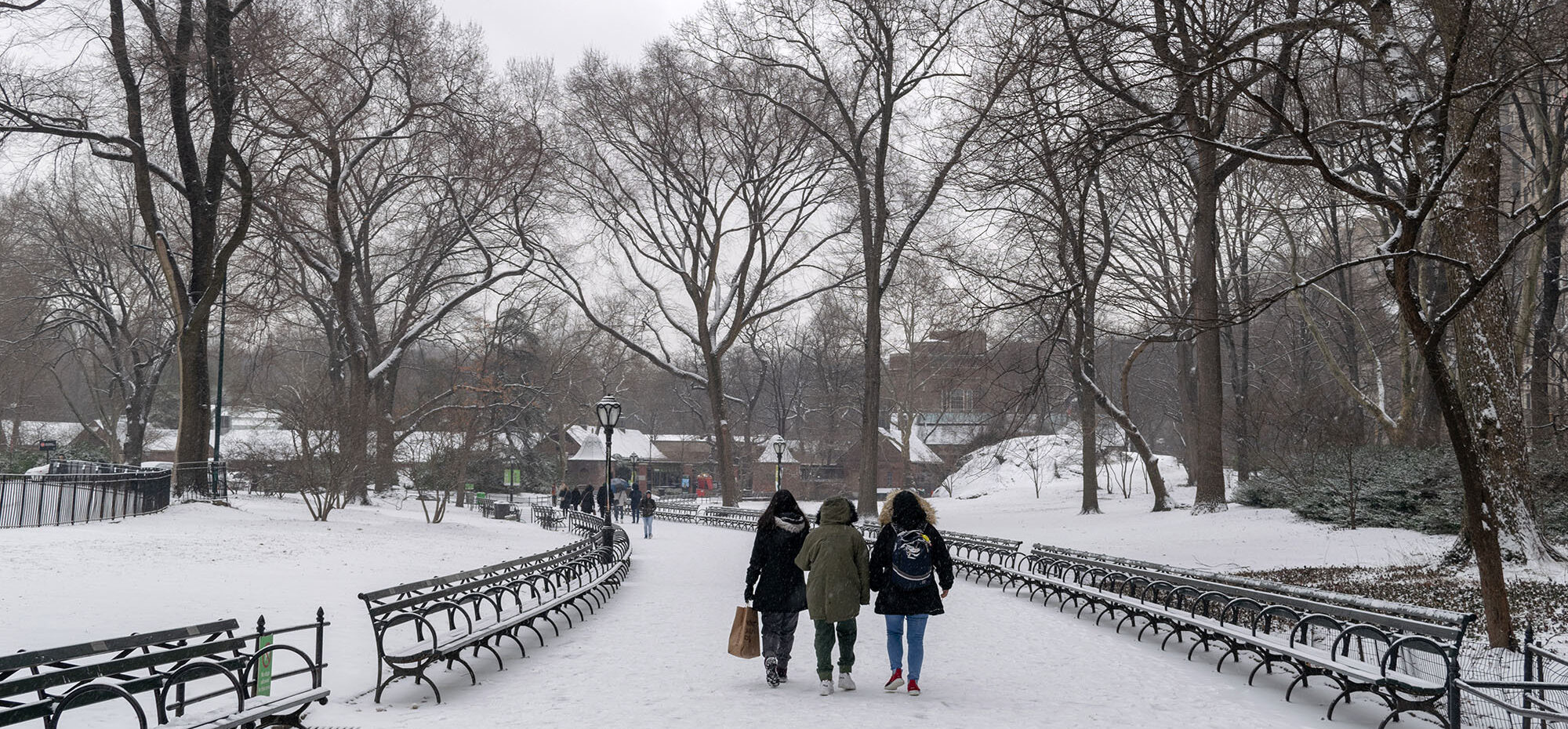 20 Ways to Enjoy Winter in Central Park Central Park Conservancy