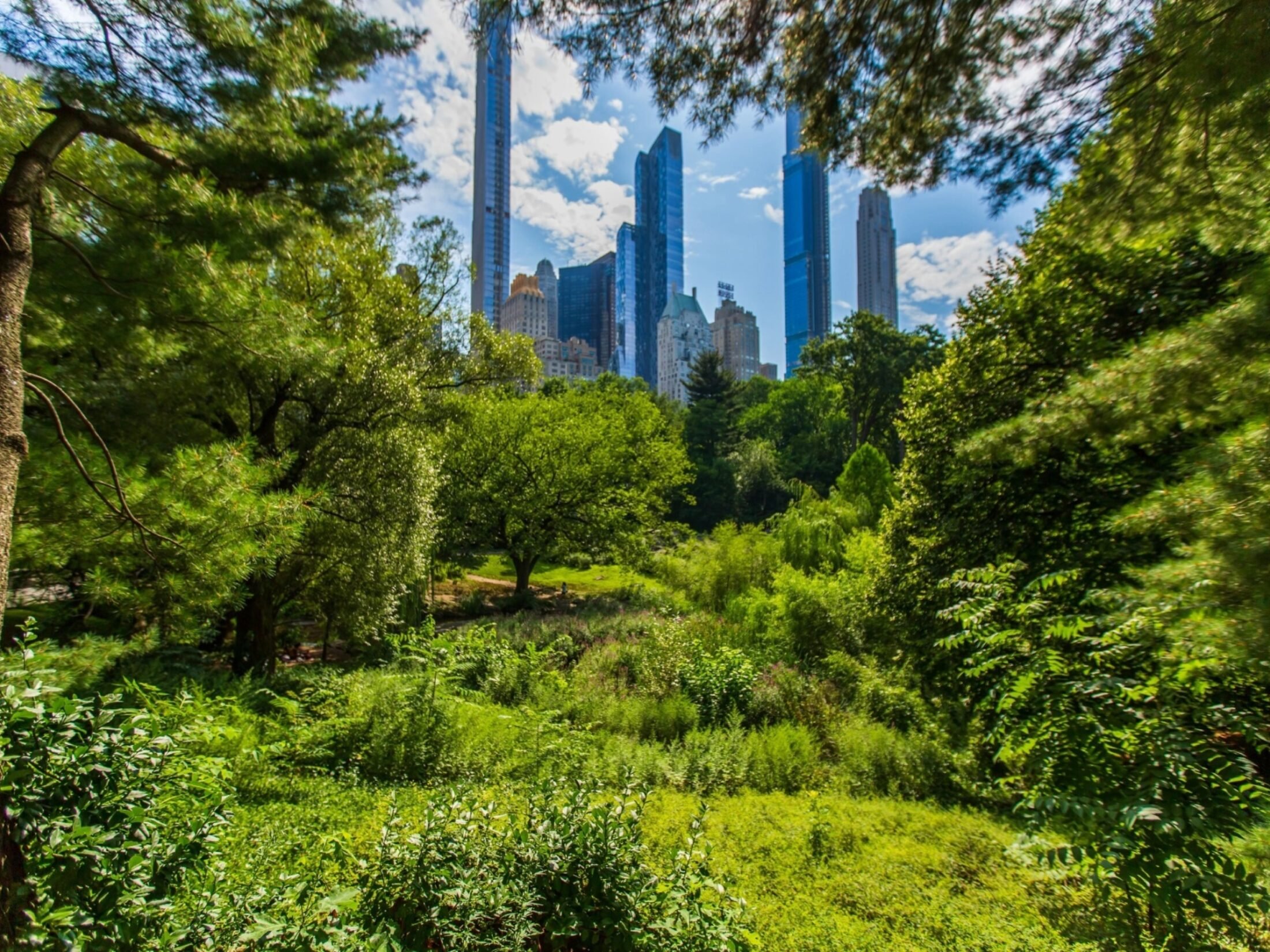 The Central Park Climate Lab Central Park Conservancy