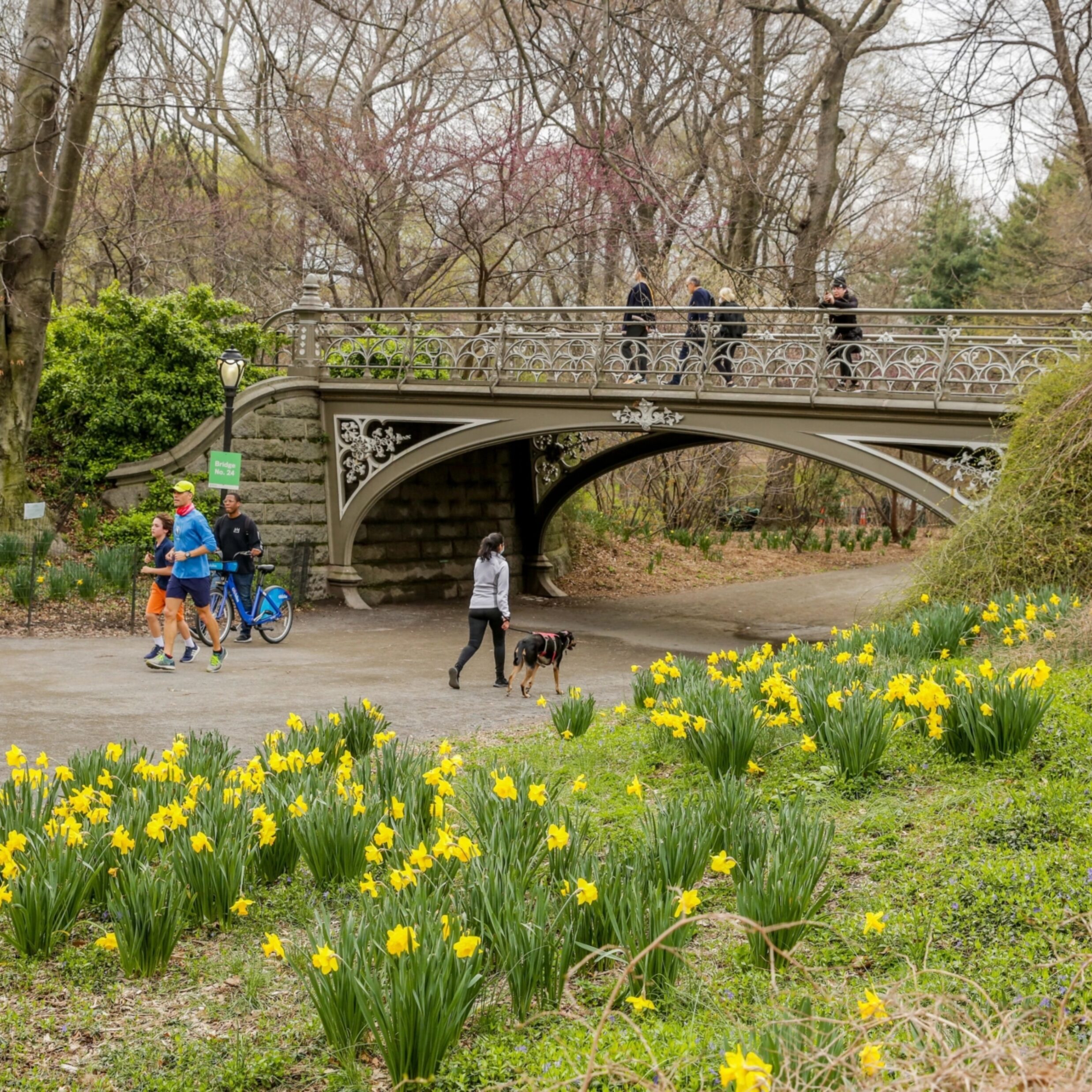 Your Official Guide to Central Park I… Central Park Conservancy