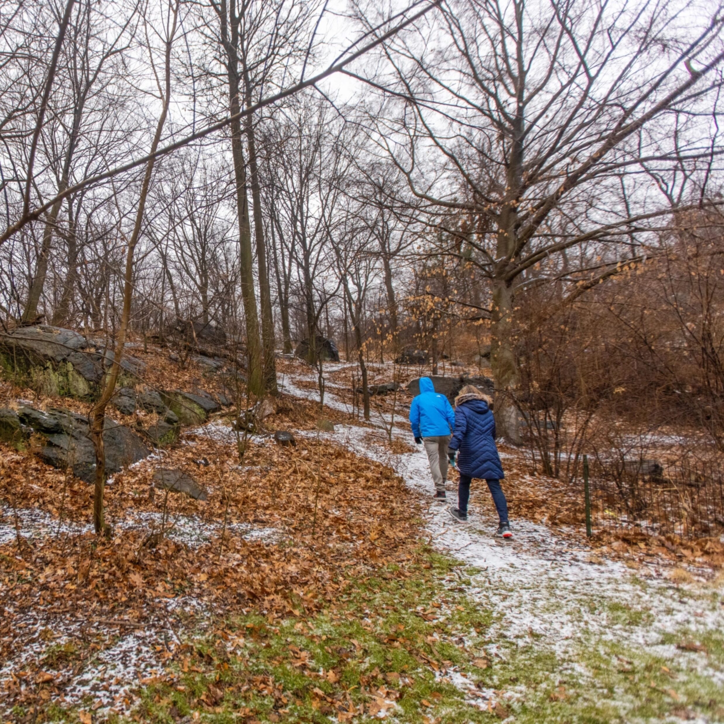 Your Official Guide to Central Park I… Central Park Conservancy