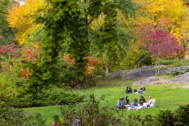 Friends relaxing in the park, surrounded by fall foliage