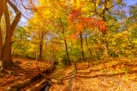 Screen Shot 2021 10 21 at 6 50 35 PM