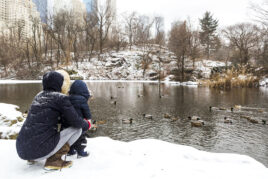 A parent and child, dressed for cold weather, on the snow-covered edge of the Pond, looking at ducks